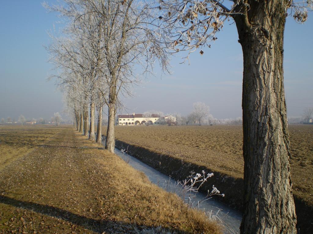 Il Rifugio Del Poeta Pension San Biagio di Callalta Buitenkant foto